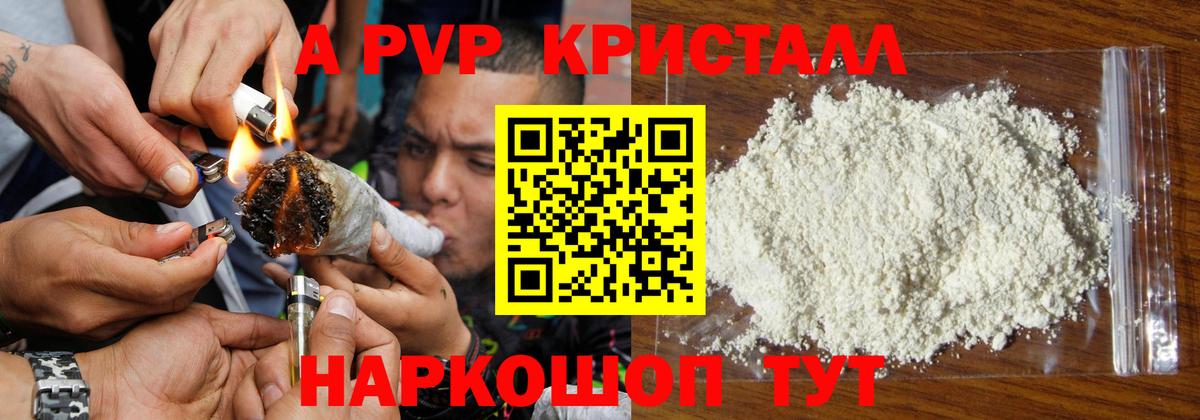 Альфа ПВП СК КРИС Ноябрьск